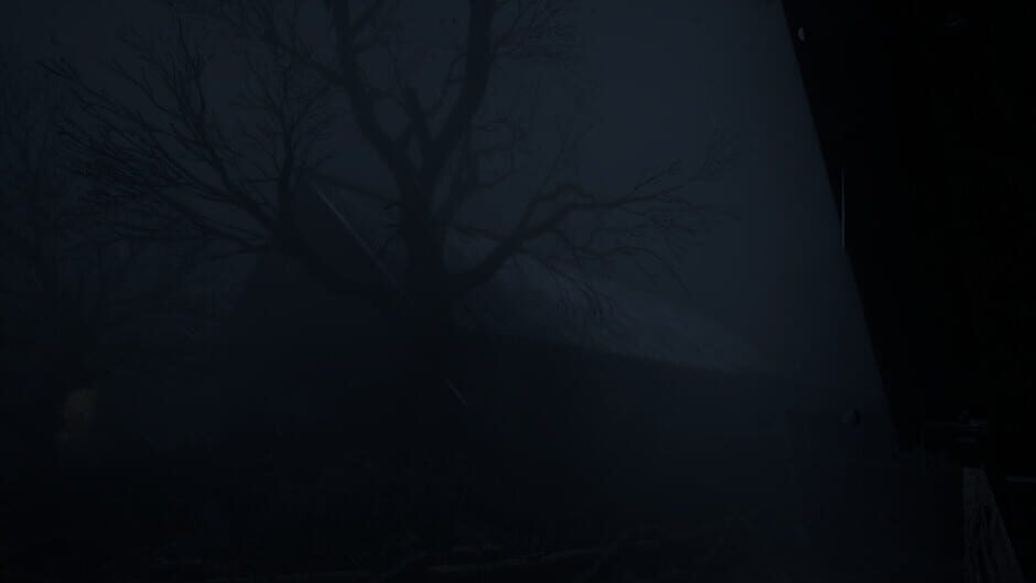 Capture de The Butcher's Village