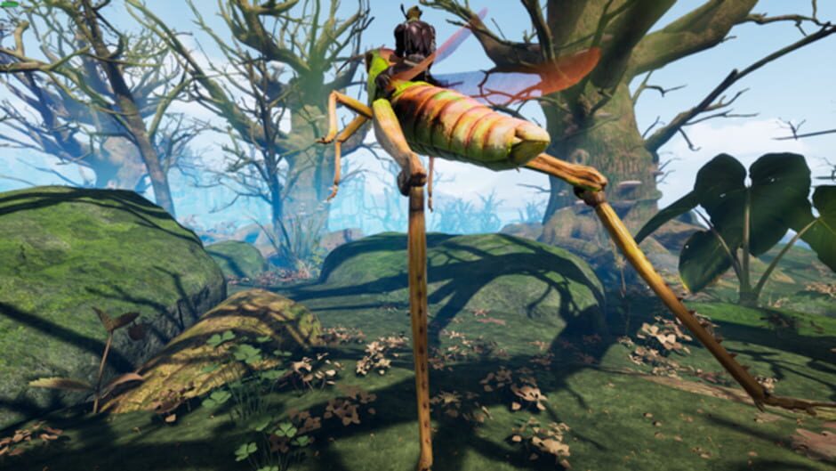 Capture de Smalland: Survive the Wilds