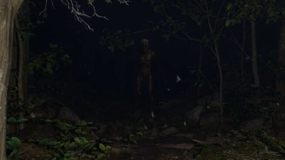 Capture de Misty Onsen