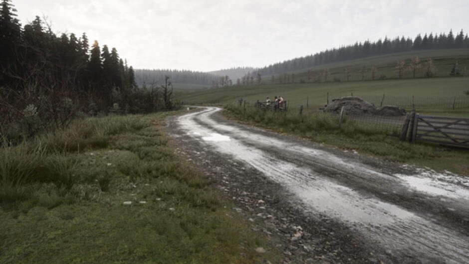 Capture d’Assetto Corsa Rally
