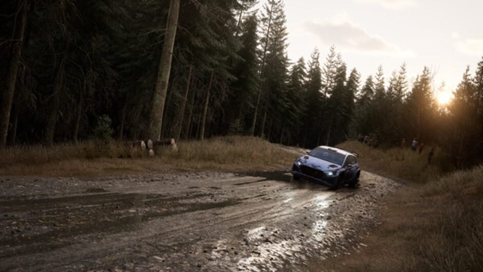 Capture d’Assetto Corsa Rally