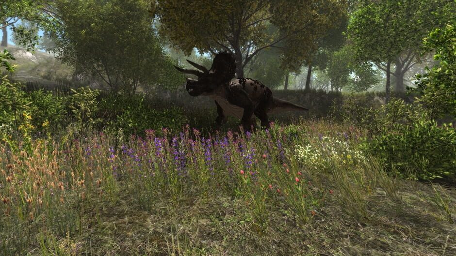 Capture de Dinosaur Forest