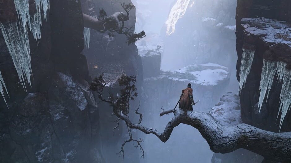 Capture de Sekiro: Shadows Die Twice