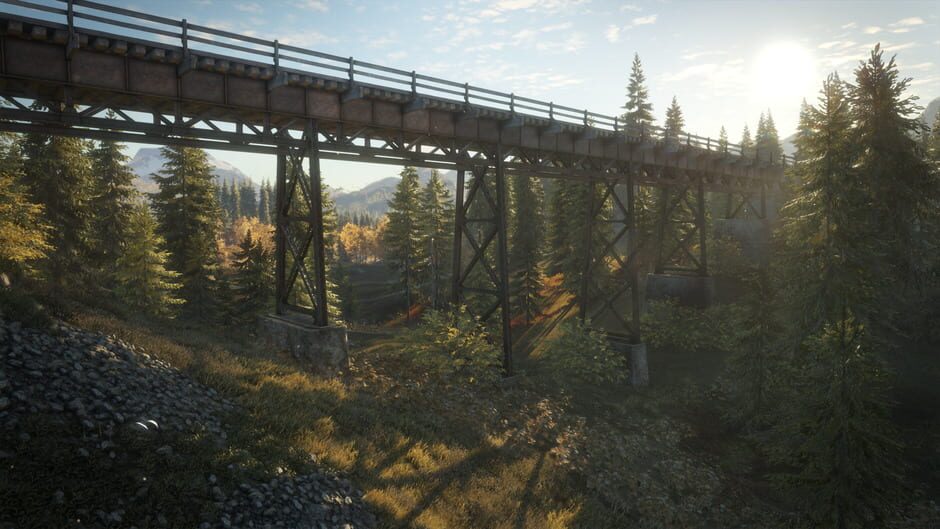 Capture de TheHunter: Call of the Wild