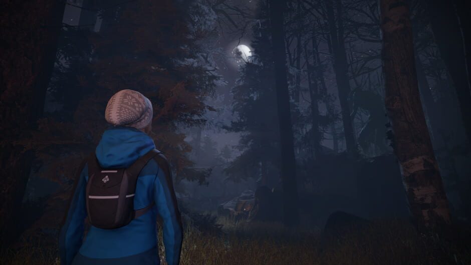 Capture de Through the Woods