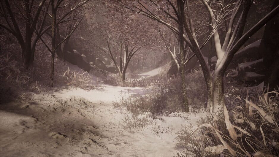Capture de Drizzlepath: Deja Vu