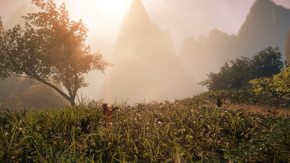 Capture de Drizzlepath