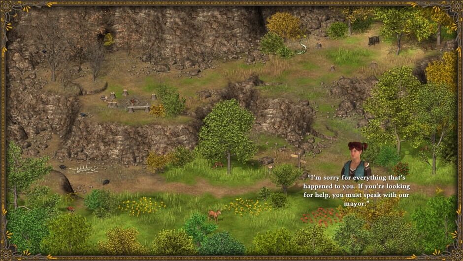 Capture de Hero of the Kingdom III