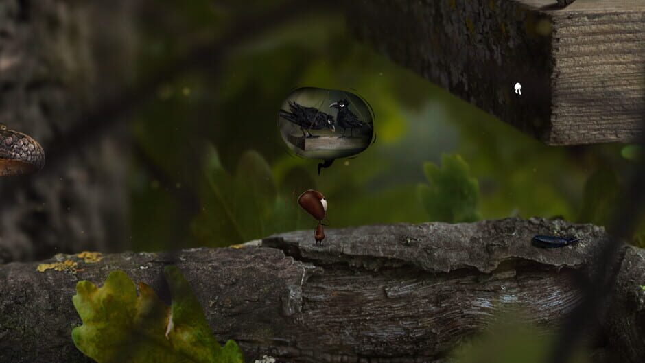 Capture d’AntVentor