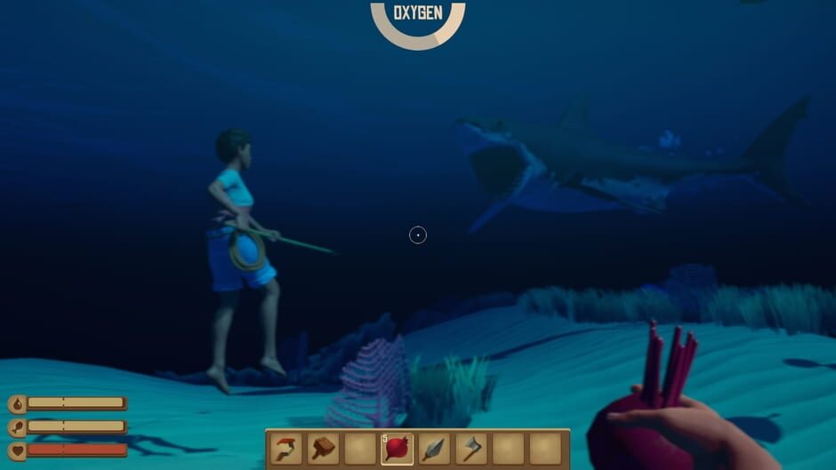 Capture de Raft