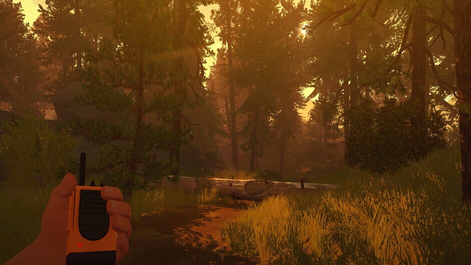 Capture de Firewatch
