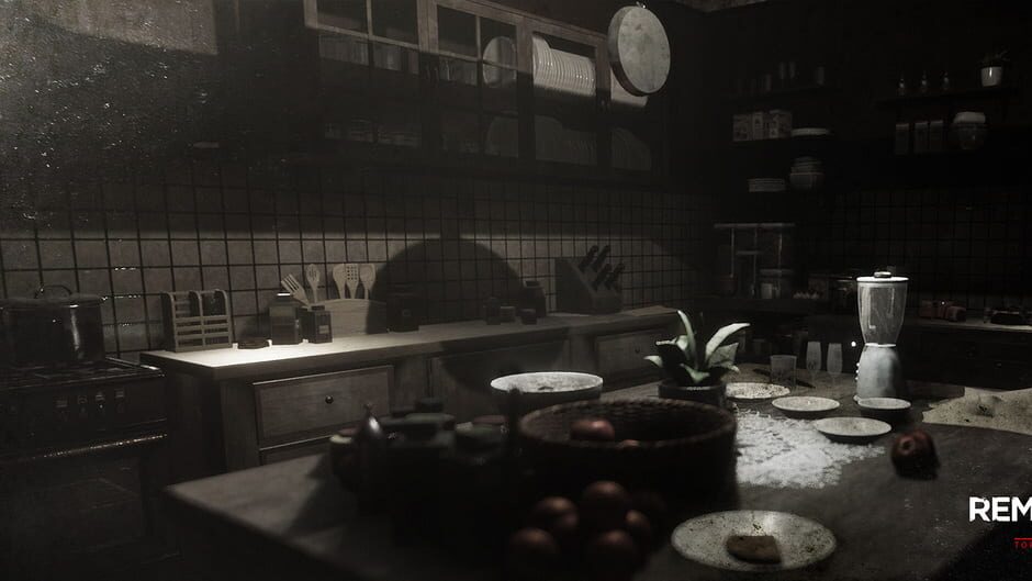 Capture de Remothered: Tormented Fathers