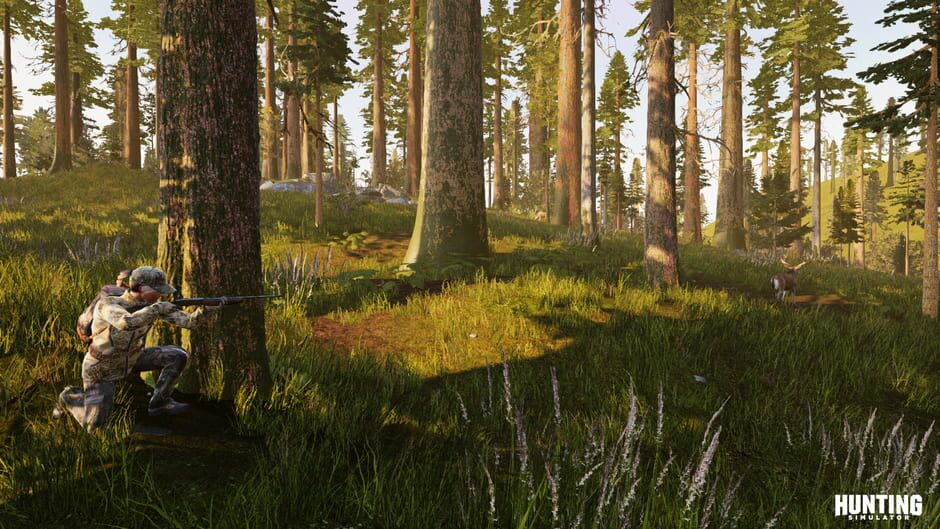 Capture de Hunting Simulator