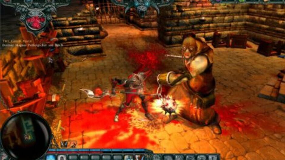 Capture de Dungeons