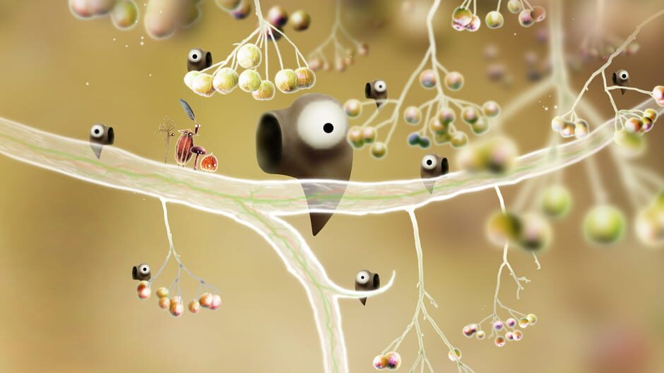 Capture de Botanicula