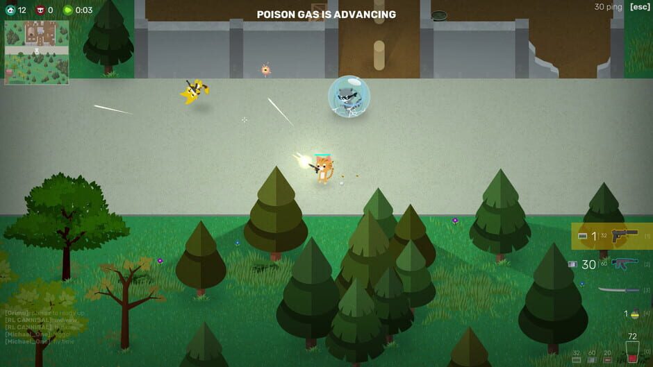 Capture de Super Animal Royale