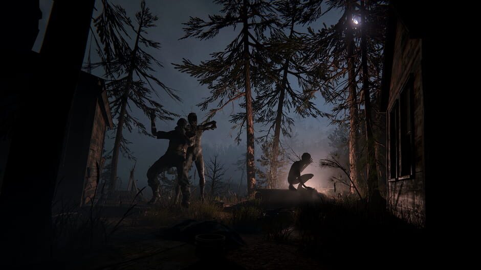 Capture d’Outlast II