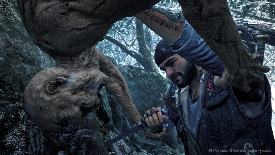 Capture de Days Gone