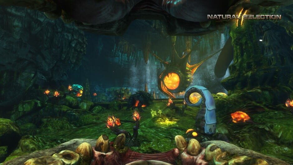 Capture de Natural Selection 2