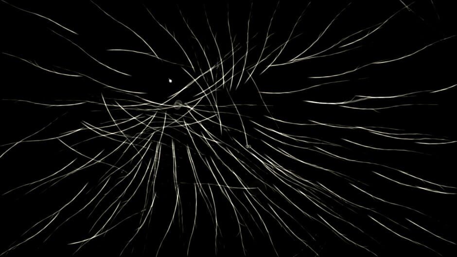 Capture de Borealis