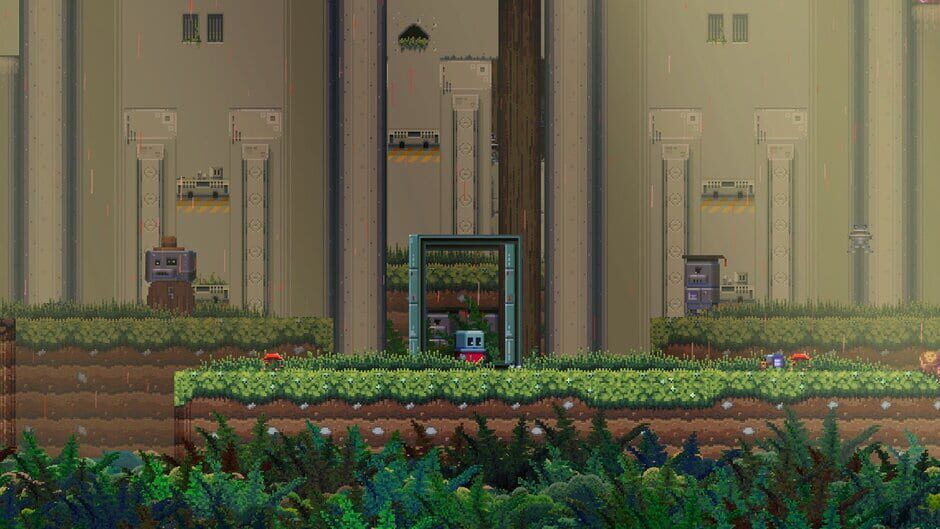 Capture de Poncho