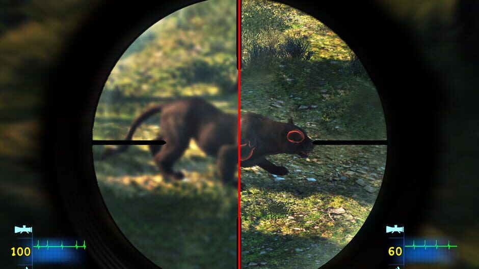 Capture de Cabela's Dangerous Hunts 2013