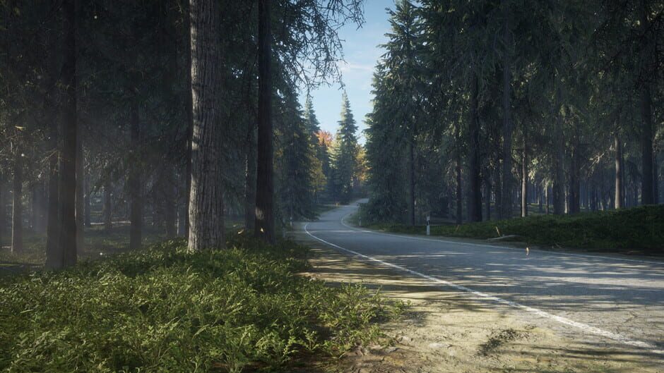 Capture de TheHunter: Call of the Wild