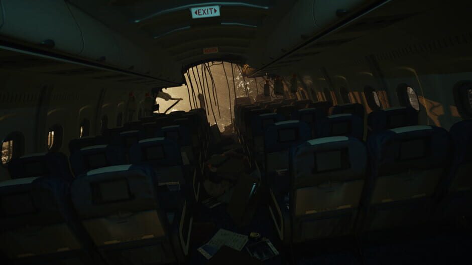 Capture de The Forest