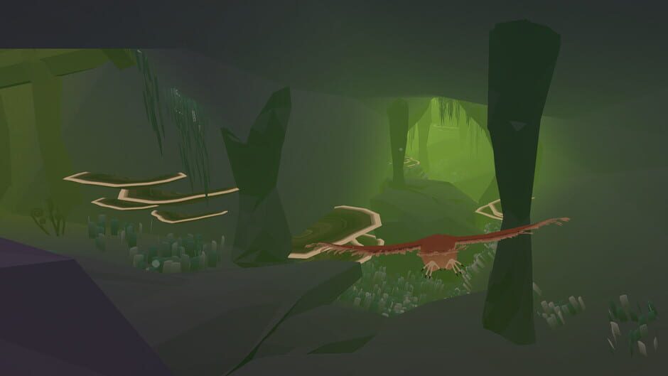 Capture de Feather