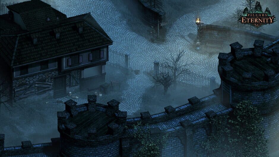 Capture de Pillars of Eternity