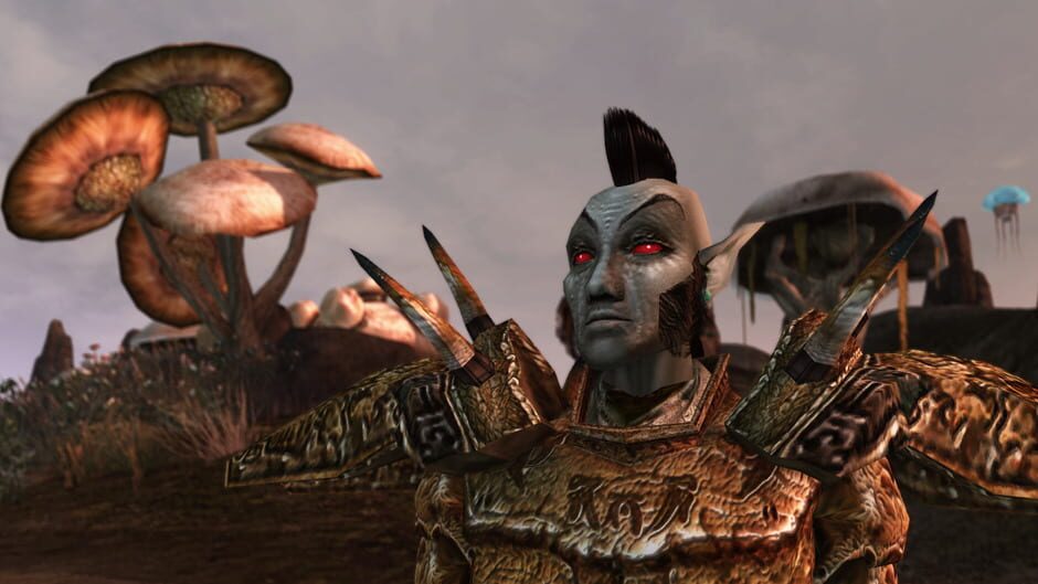 Capture de The Elder Scrolls III: Morrowind