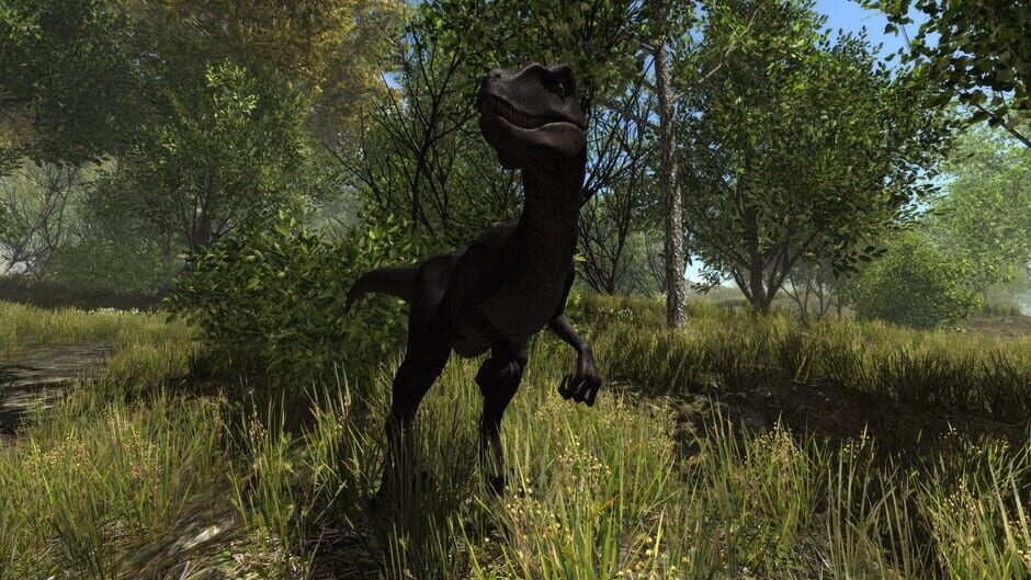 Capture de Dinosaur Forest