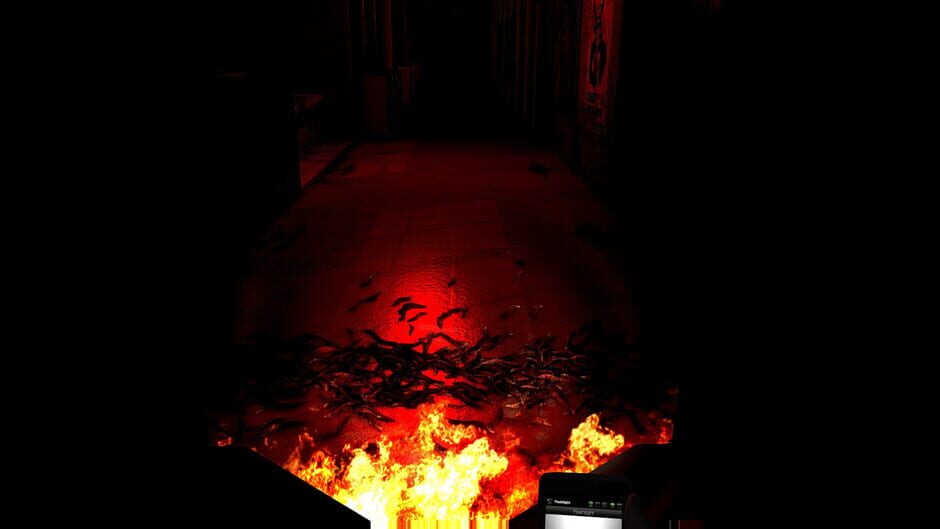 Capture de Morphine