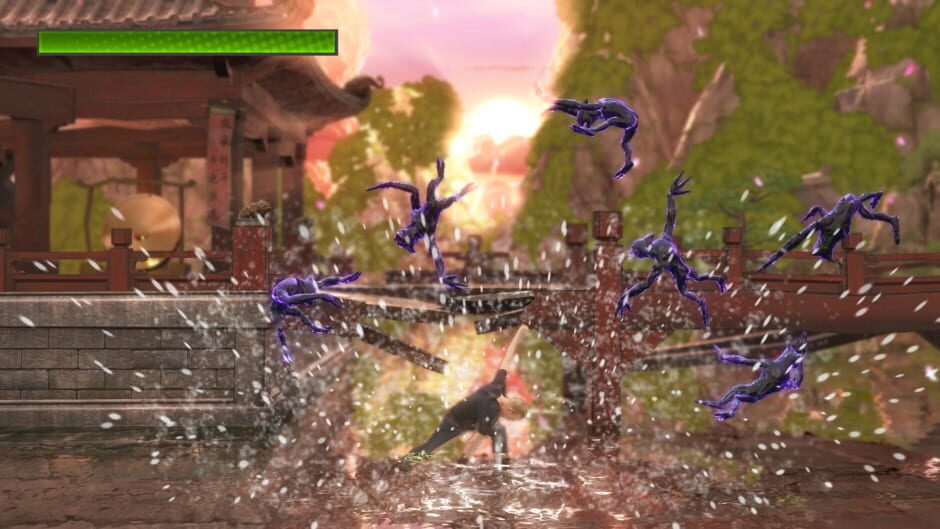Capture de Kung-Fu for Kinect