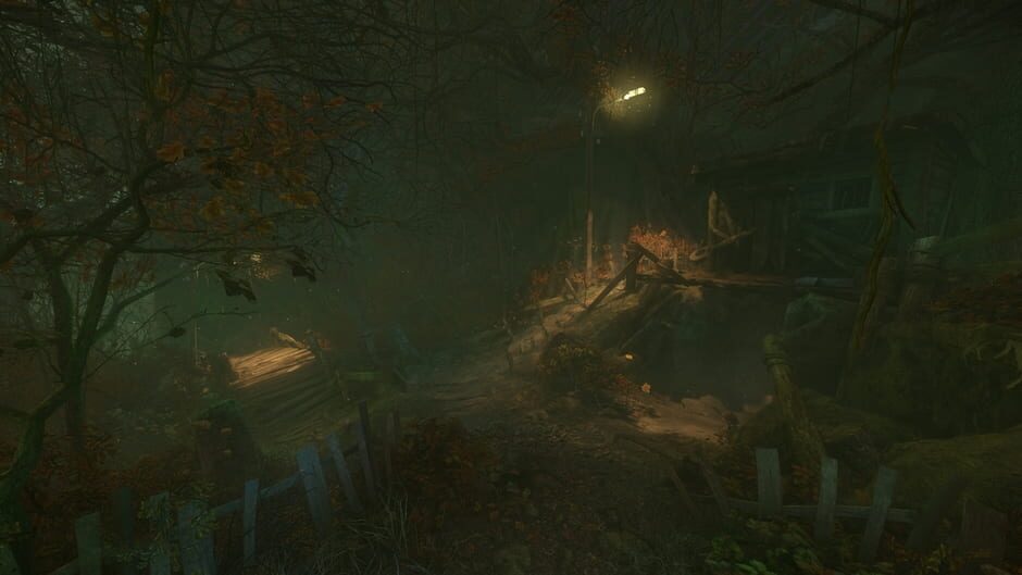 Capture de The Cursed Forest