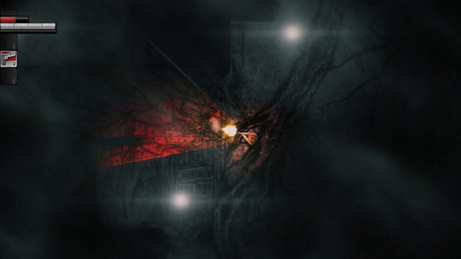 Capture de Darkwood