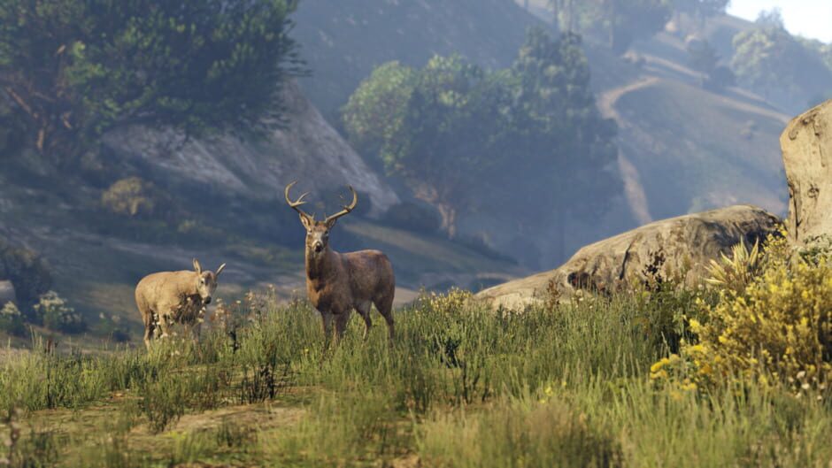 Capture de Grand Theft Auto V: Premium Online Edition & Whale Shark Card Bundle