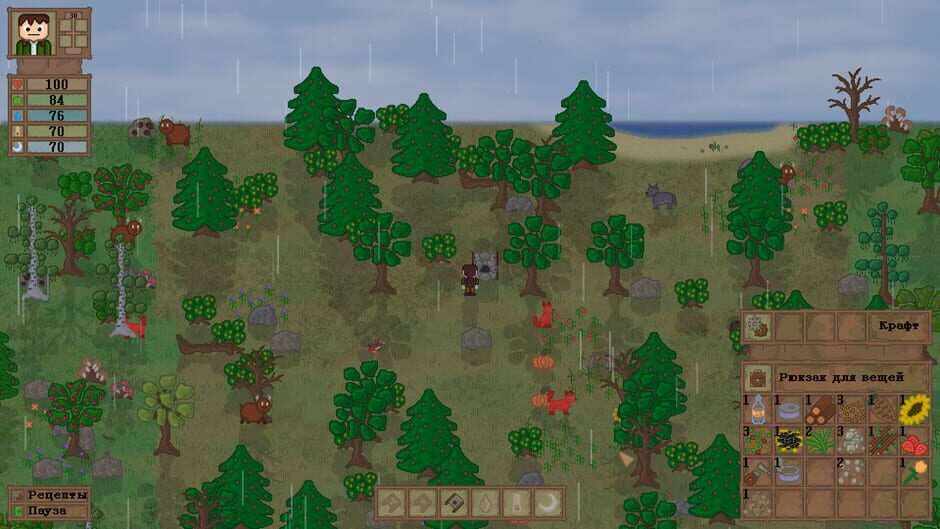 Capture de Lost In Woods 2