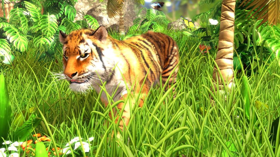 Capture de Wildlife Park 3