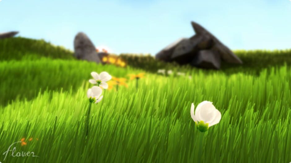 Capture de Flower