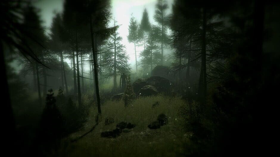 Capture de Slender: The Arrival