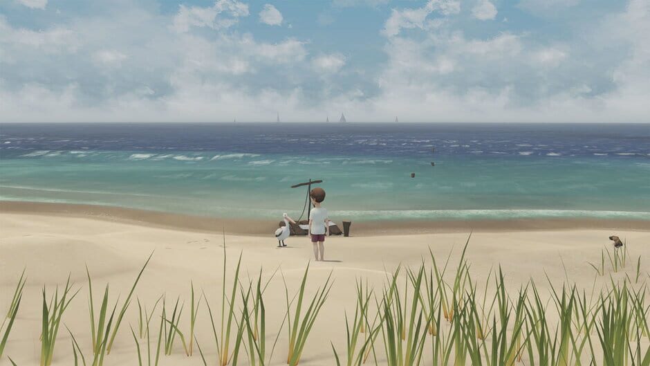 Capture de Storm Boy