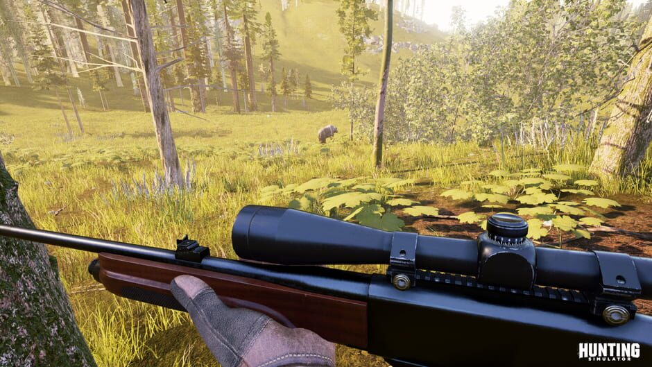 Capture de Hunting Simulator