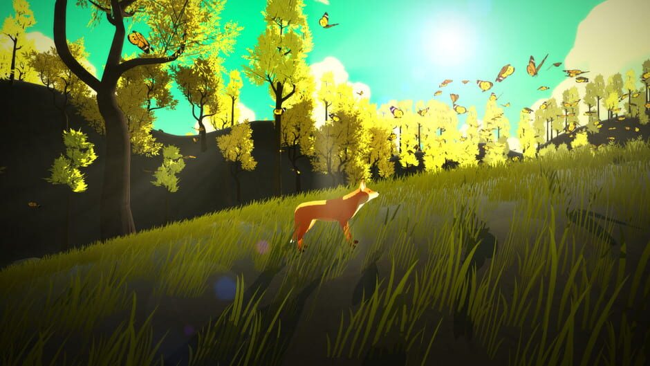 Capture de The First Tree