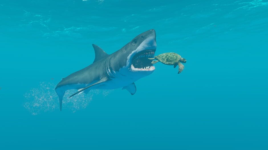 Capture de Stranded Deep