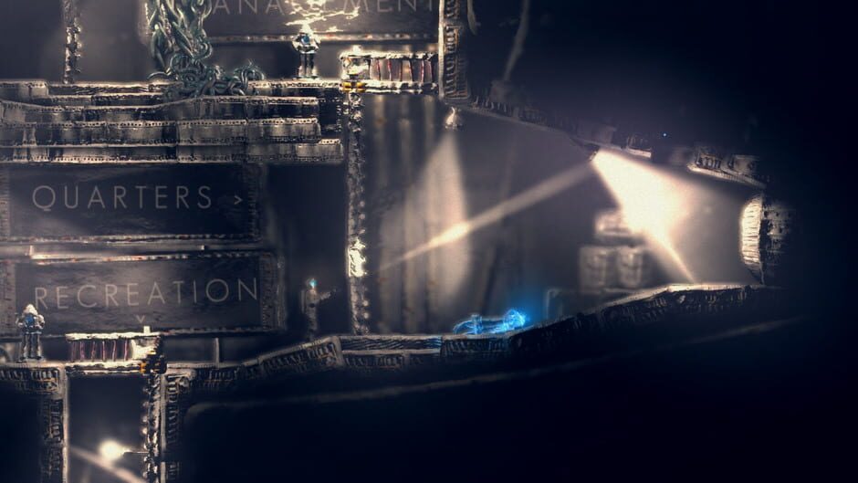 Capture de The Swapper