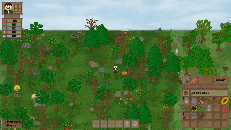 Capture de Lost In Woods 2