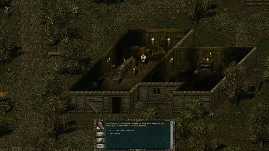 Capture de Divine Divinity
