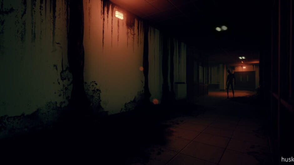 Capture de Husk