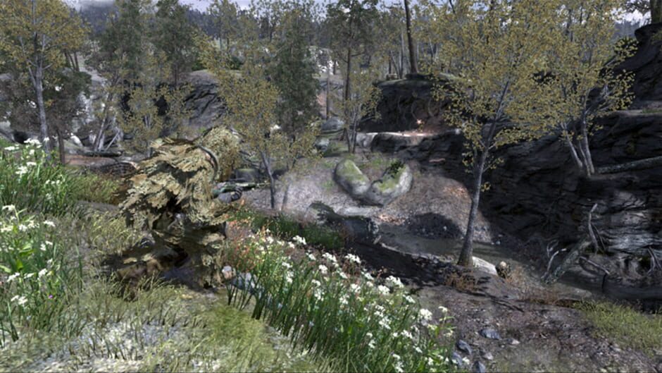 Capture de Call of Duty 4: Modern Warfare